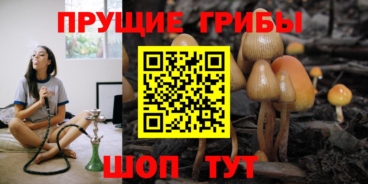 Галлюциногенные грибы Cubensis Коммунар
