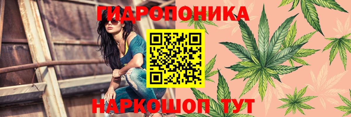Шишки марихуана марихуана  Канабис THC 21%  Вход с VPN  Бошки Шишки OG Kush  Коммунар 